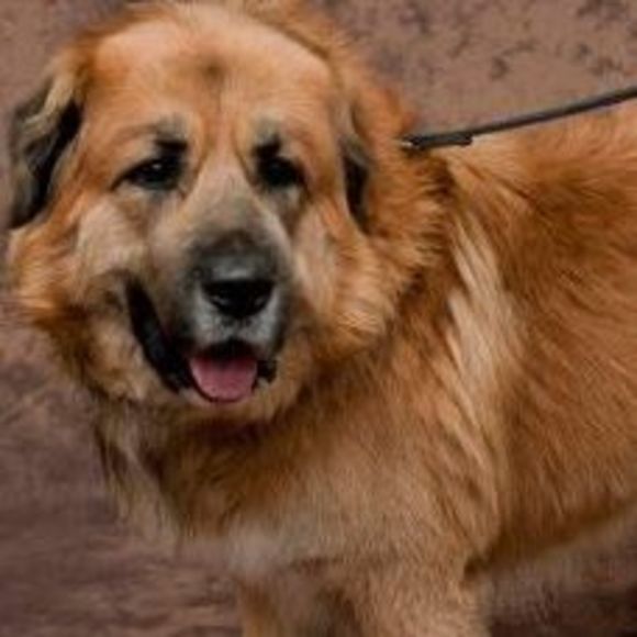 Meet your Posher, Nancy - Picture 1 of 1